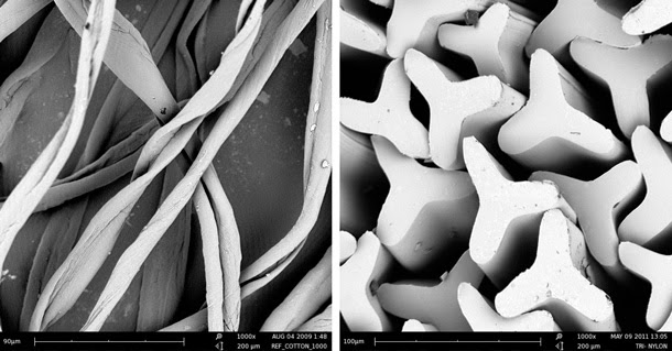 dynema lines on microscope