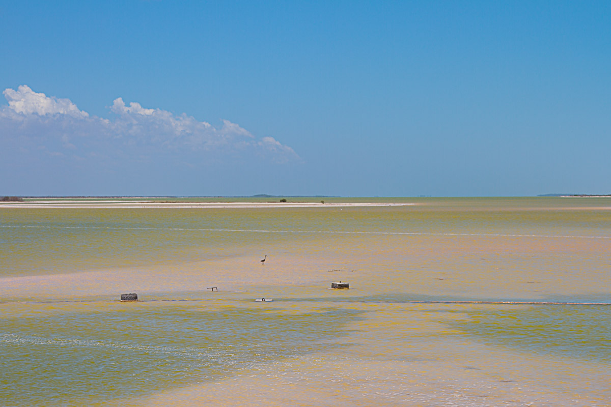 kitesurf internal lagoon in el cujo mexico yucatan peninsula