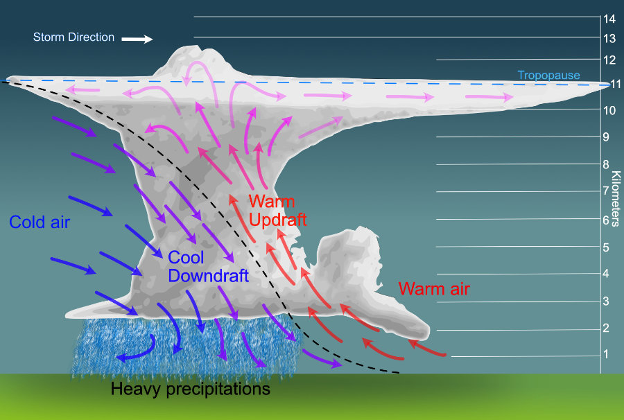 cumulunimbus section