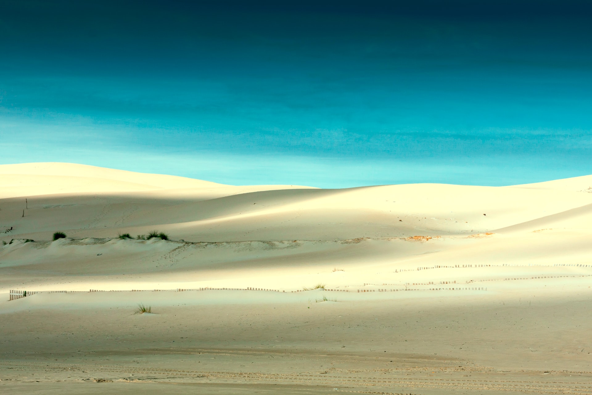 Dunes of Bolonia