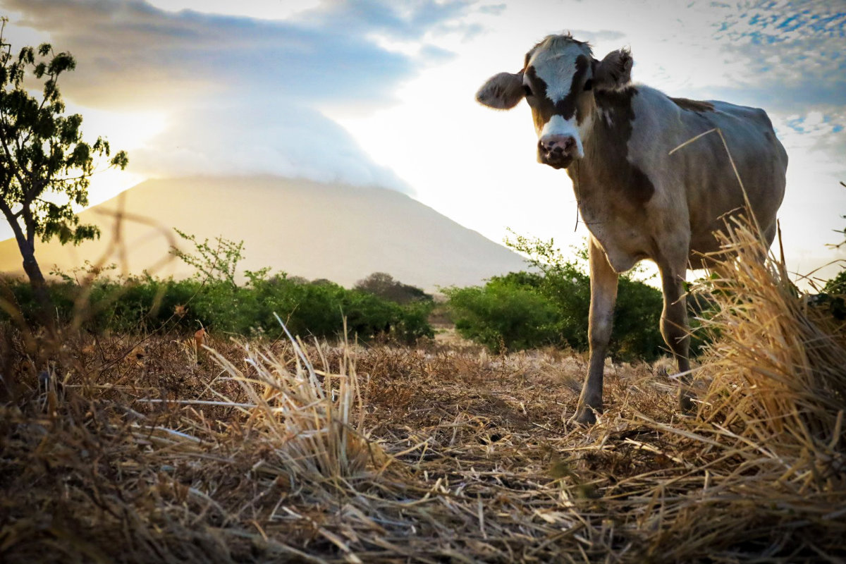 Ometepe Nicaragua