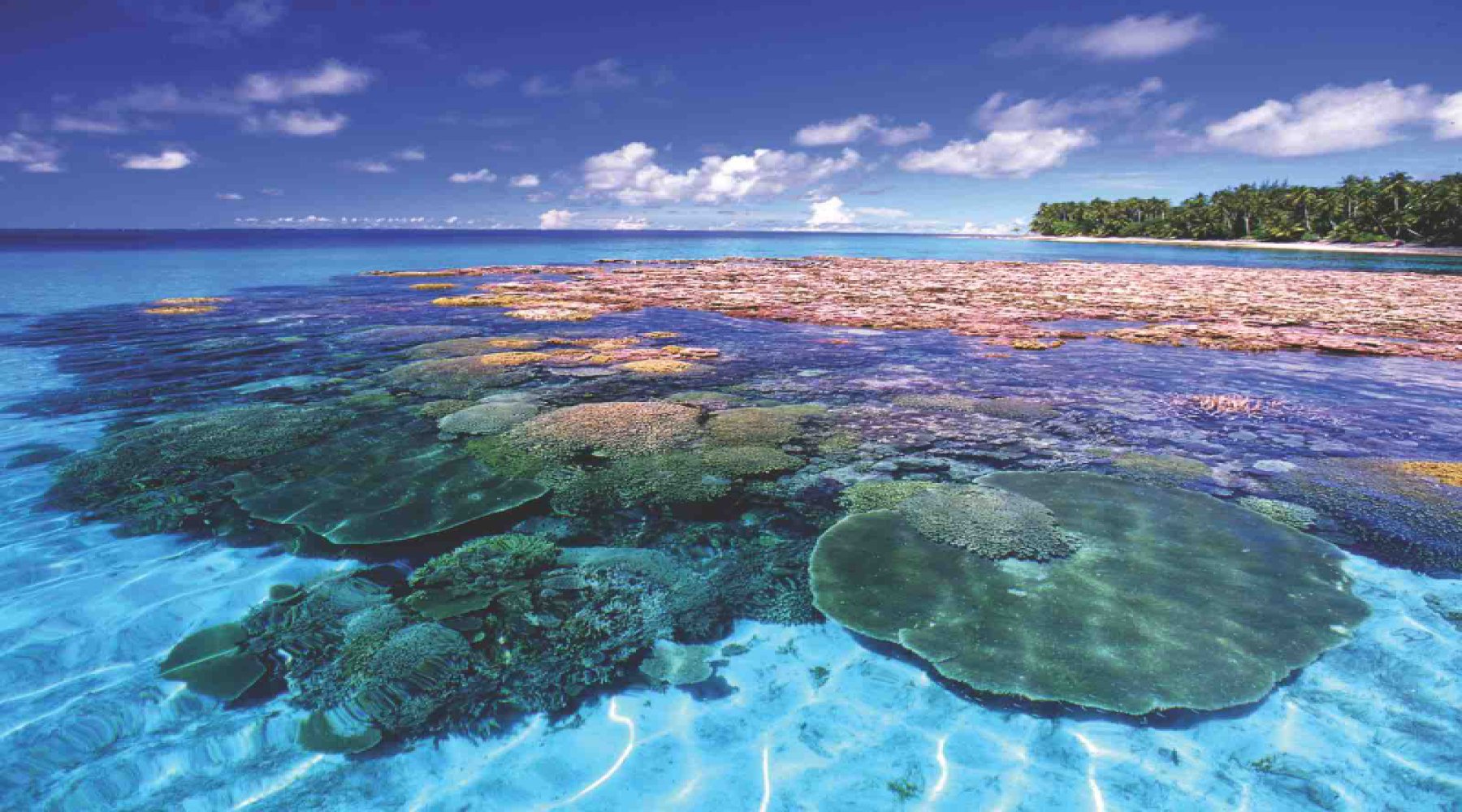 go kiting to Marshall Islands