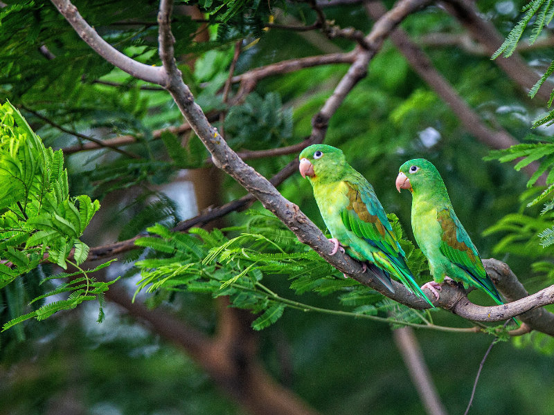 Kitesurf culture kite spots in Nicaragua