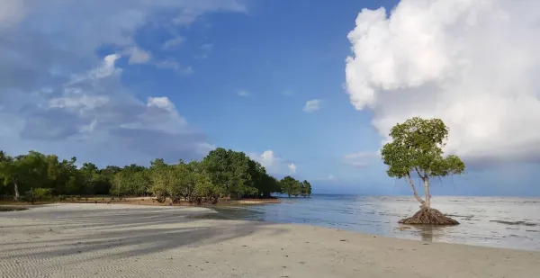 Emerald Playa Beach kitesurfing spot – beginner flat water