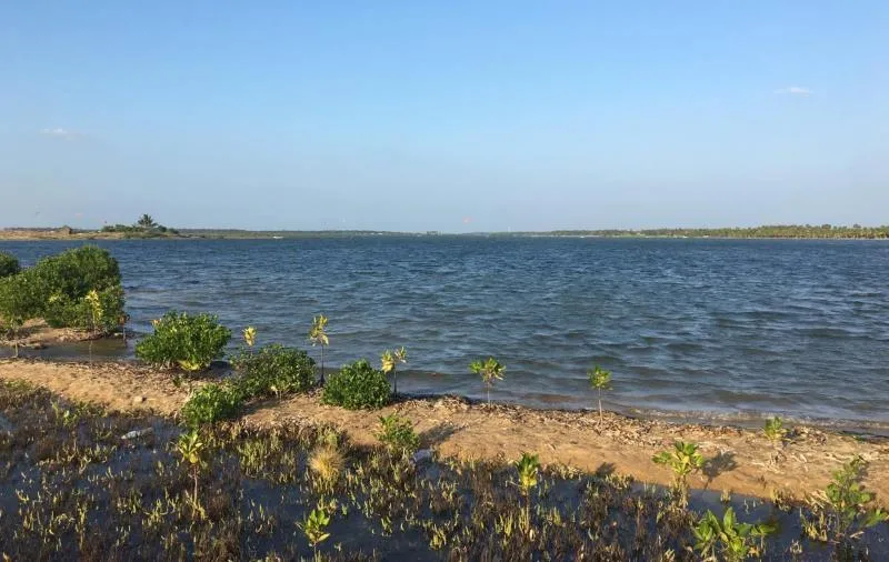 Kalpitiya Main Lagoon kitesurfing spot – beginner flat water