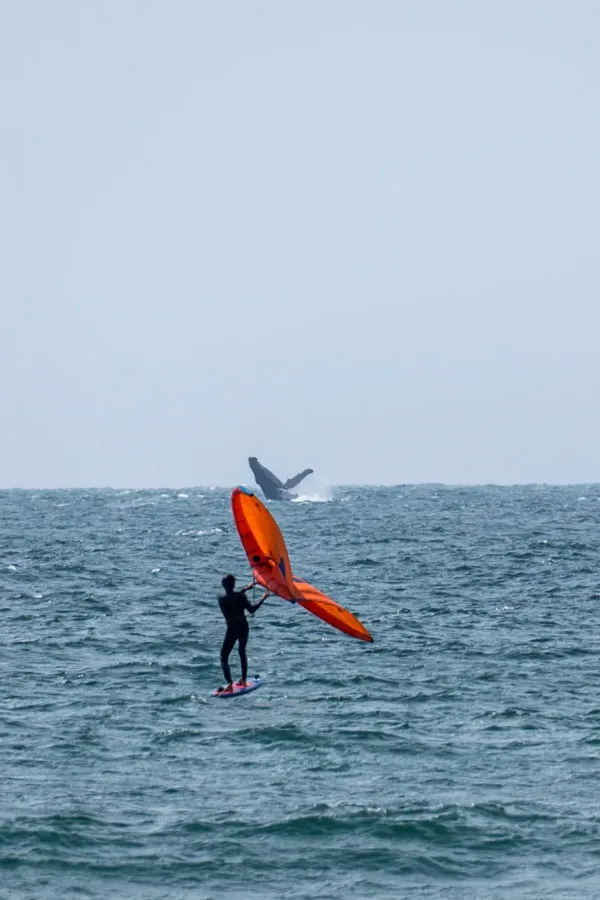Mancora kitesurfing spot – intermediate wave water