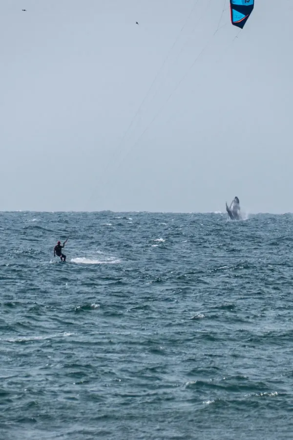 Mancora kitesurfing spot – intermediate wave water