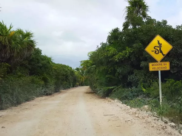Boca Paila - Sian ka'an kitesurfing spot – beginner chop water