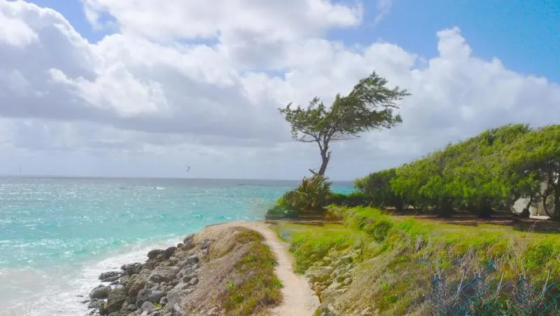 Silver Sands kitesurfing spot – intermediate wave water